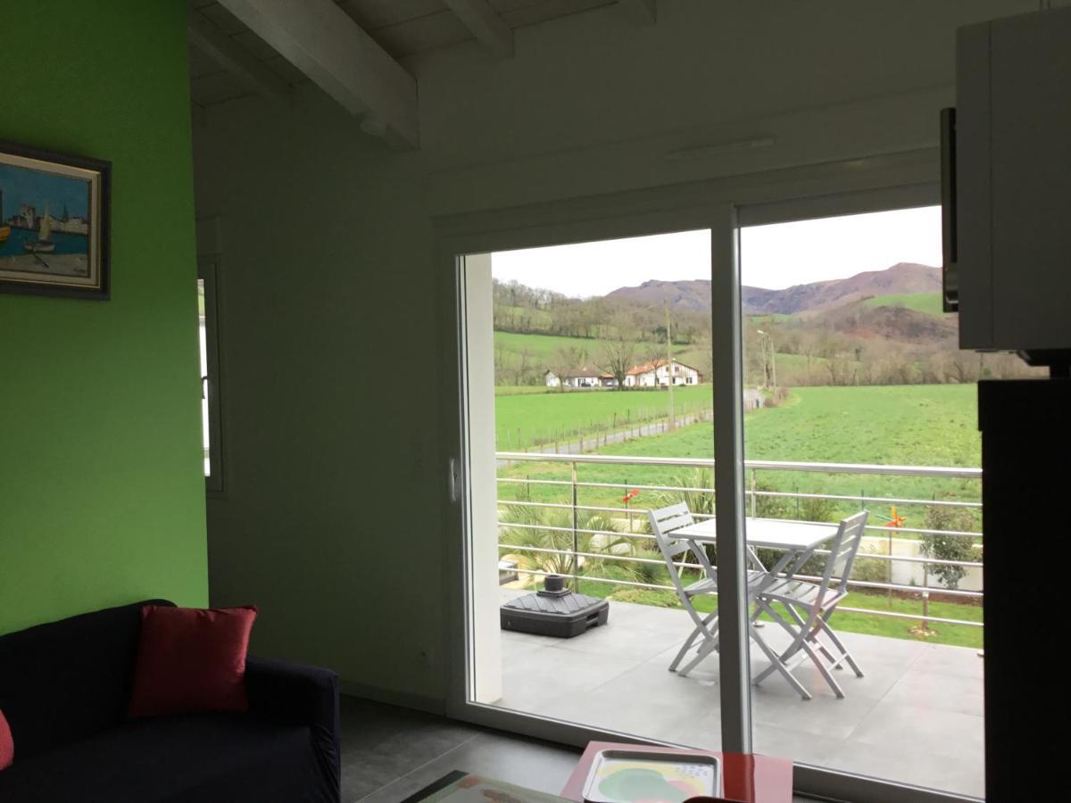 Gites Vue Montagne St Jean Pied De Port Pays Basque Saint-Jean-Pied-de-Port Exterior photo