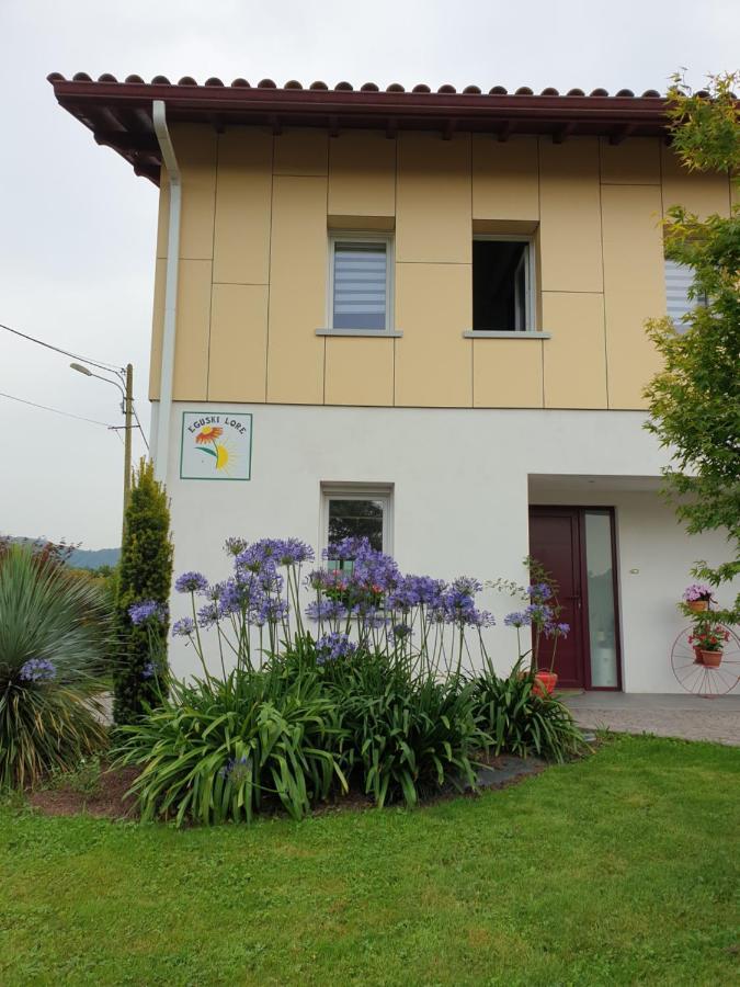 Gites Vue Montagne St Jean Pied De Port Pays Basque Saint-Jean-Pied-de-Port Exterior photo