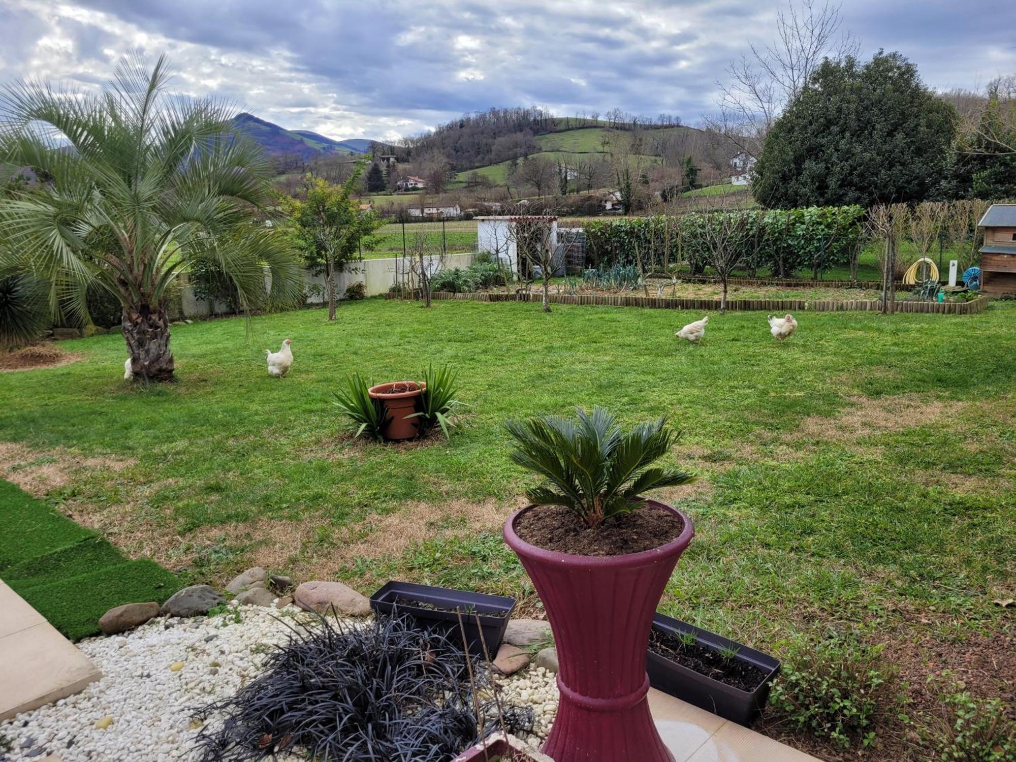 Gites Vue Montagne St Jean Pied De Port Pays Basque Saint-Jean-Pied-de-Port Exterior photo